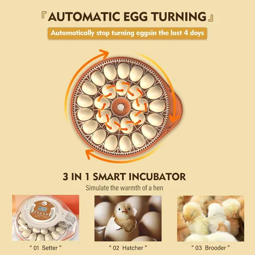 Vista 7 de Incubadoras para incubar huevos 3 en 1 Incubadora de aves de corral totalmente automática Control automático de temperatura y humedad, giro Beige