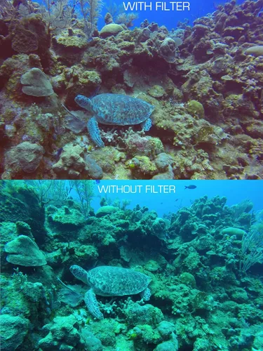 Vista 5 de GoPro HERO13 Filtro rojo: incluye carcasa submarina de 196.9 ft y 3 filtros, vidrio de hierro con corte láser (claridad superior), compatible