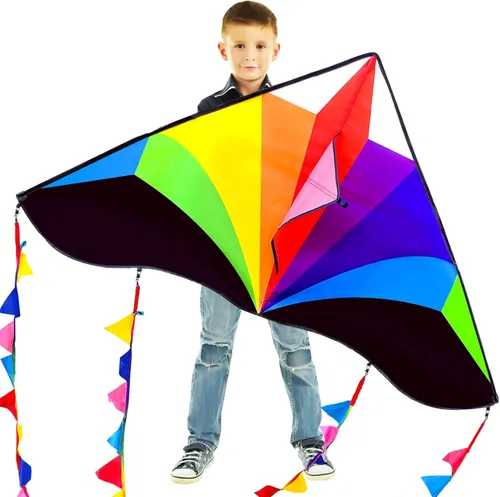 Vista 25 de Large Single Line Beach Kite for Adults,Easy to Fly Kites for Kids Age 4-12