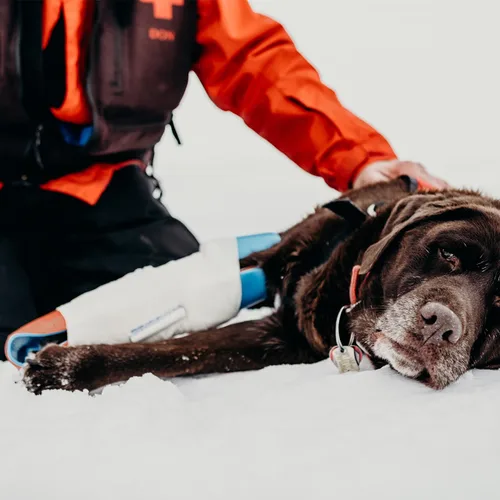 Vista 4 de Sam Splint Veterinarios – Naranja/Azul 36