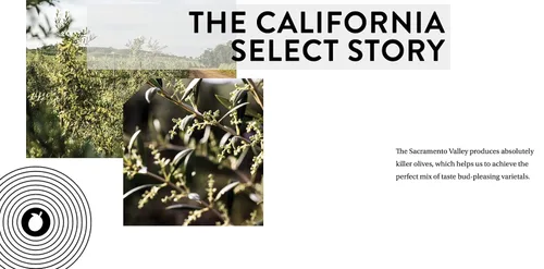 Vista 4 de Paquete de 3 aceite de oliva Cobram Estate Evoo, 12.7 onzas líquidas (California Select AOVE)