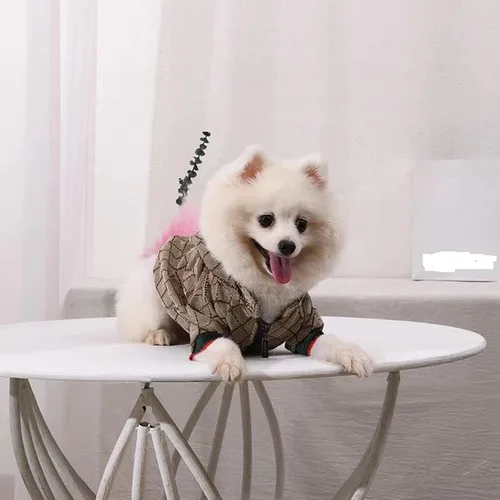 Vista 8 de Sudadera con capucha para perro de invierno, ropa de lujo para perro, ropa clásica para mascotas, abrigo de bulldog francés, ropa de cachorro