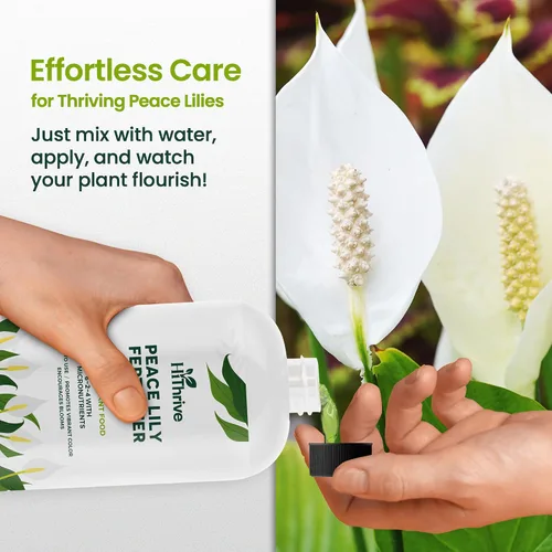 Vista 6 de Fertilizante líquido para plantas de lirio de la paz de 16oz - Produce 96 galones de fertilizante para lirio de la paz - Alimento líquido rico