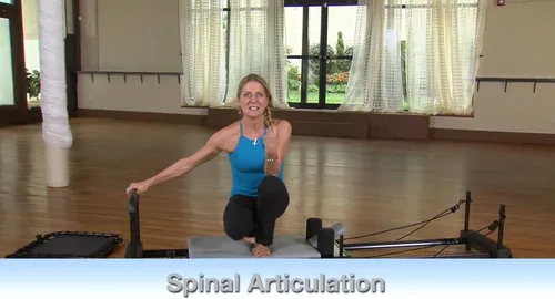 Vista 5 de AeroPilates por Stamina Workout DVD