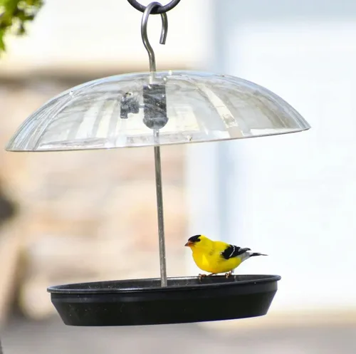 Vista 8 de Kingsyard - Comedero para pájaros con cúpula ajustable para colgar al aire libre