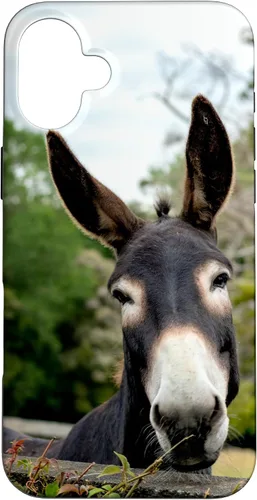 Vista 23 de Funda Donkey para iPhone 17