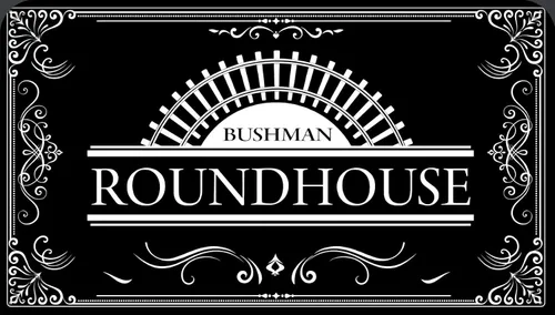 Vista 6 de Bushman Roundhouse Armónica 10 agujeros diatónico con funda acolchada con cremallera (A)
