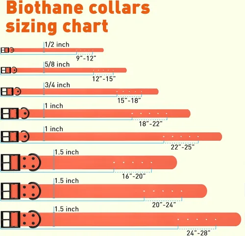 Vista 125 de Dogline Biothane - Collar impermeable para perro con hebilla de liberación rápida, resistente cincha de nailon recubierta con resistente y a prueba
