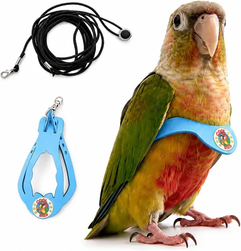 Vista 19 de Juego de arnés ajustable y correa para pájaros pequeños, apto para periquitos, conures, cacatúas, mejillas verdes, loros cuáqueros (verde, XS) 6350-6