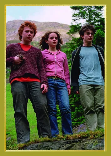 Vista 2 de Panini Harry Potter Witches & Wizards - Caja del tesoro de la colección de calcomanías (versión francesa)