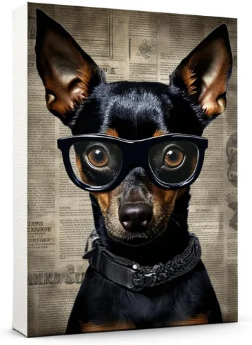 Vista 122 de Thuan Affenpinscher - Póster de lienzo con tus fotos, arte de pared para decoración del hogar, regalo conmemorativo para amantes de las mascotas