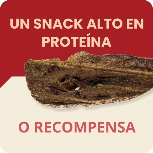 Vista 5 de Redbarn Choppers - Filetes naturales de pulmón de carne 100% carne seca