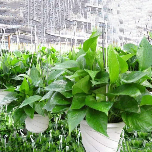 Vista 7 de 4 macetas colgantes de plástico, 5.9 pulgadas de diámetro x 3.54 pulgadas de alto, macetas pequeñas para plantas de flores, soporte de cadena