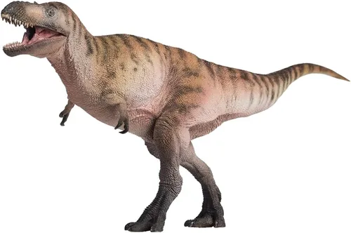 Vista 11 de PNSO Modelos de dinosaurios prehistóricos: 41 Pérez el Machairoceratops