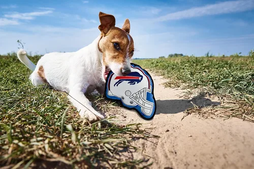 Vista 6 de Juguete para perros The 1st Ever Tough but Smooth NFL Buffalo Bills Football Helmet Tough Pet Toy. Un juguete para perros de calidad premium