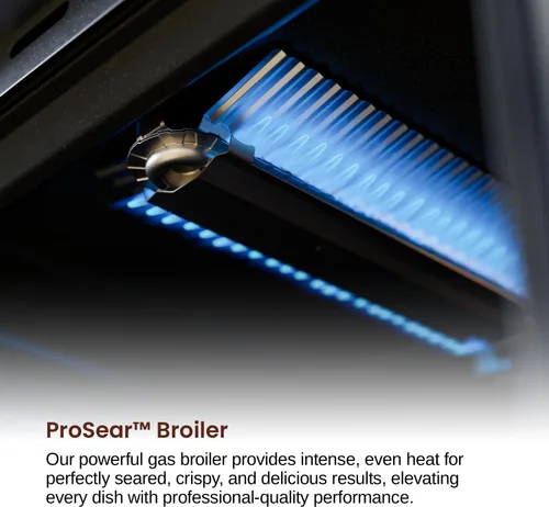 Vista 7 de Rangaire RRG241TS Cocina de Gas de 24" con Temporizador - Acero Inoxidable, Quemadores Sellados, Ventilador de Convección, Estantes de Fácil Alcance