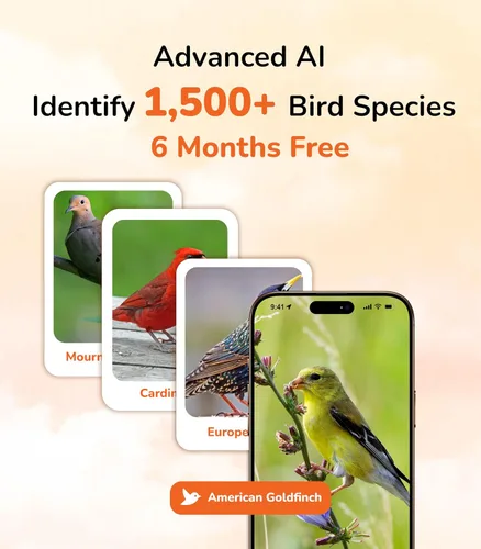 Vista 2 de SensForge Cámara inteligente de alimentador de pájaros AI, vista en vivo HD de 2.5 K, alimentador de madera para exteriores alimentado por energía