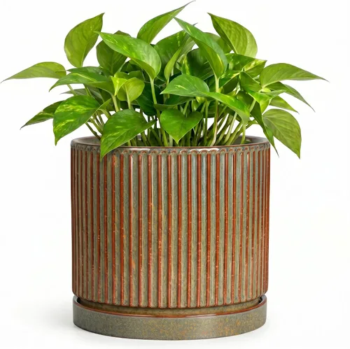Vista 62 de 8 Inch Flower Pot, Ceramic Planters, Round Plant Pot, Beige
