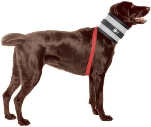Vista 4 de Collar, Multicolor