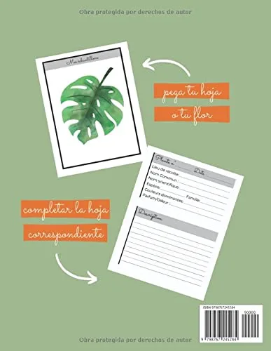 Vista 2 de Mi pequeño Herbario Cuaderno para la recolección y conservación de hojas, hierbas, flores o plantas secas - Para niño que ama la naturaleza