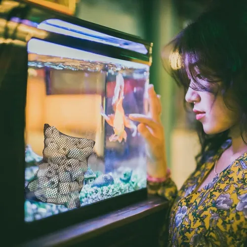 Vista 6 de 5 bolsas de medios de filtro de tanques, bolsa de medios de acuario, bolsas de filtro de acuario, bolsas de filtro de malla para pecera