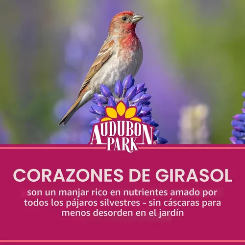 Vista 4 de Audubon Park Semilla de pájaro silvestre de corazones de girasol, 15 libras