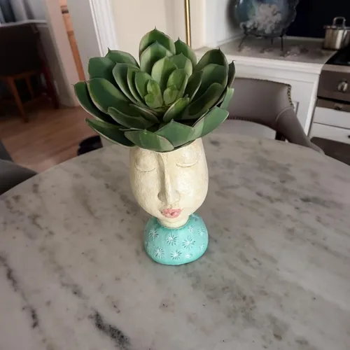 Vista 4 de DiliComing Macetas de Cara de Resina - Maceta de 8 Pulgadas para Interiores y Exteriores con Orificio de Drenaje para Plantas Suculentas, Decoración