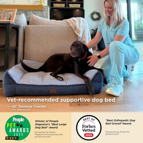 Vista 2 de Bedsure SupportMax® - Camas ortopédicas extra gruesas para perros de tamaño Negro