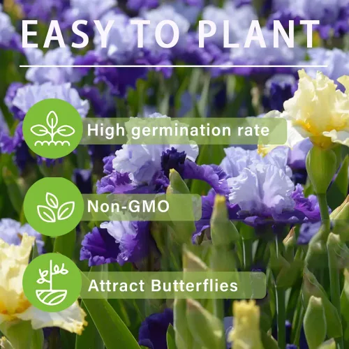Vista 4 de 201+semillas de iris mixtas flor para plantar jardín al aire libre