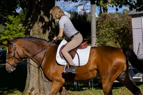 Vista 7 de HORZE Ella - Pantalones de escuela para mujer con parches de piel ALOS y trabillas para cinturón