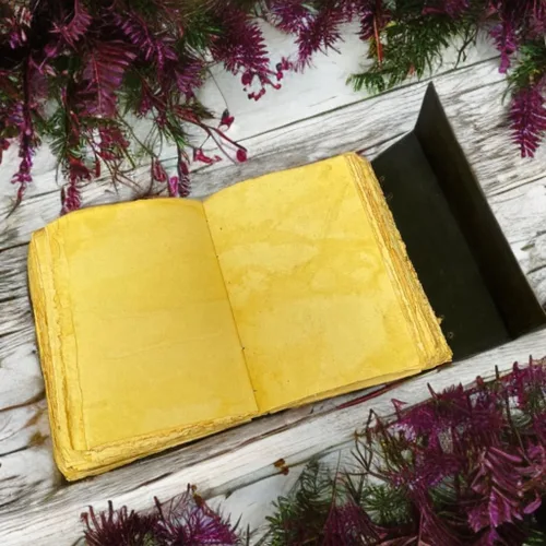 Vista 9 de Embossed Luna Moth Leather Grimoire Journal – Vintage Botanical Mushrooms & Sun Moon Design – Blank Spell Book of Shadows with Deckle Edge Paper