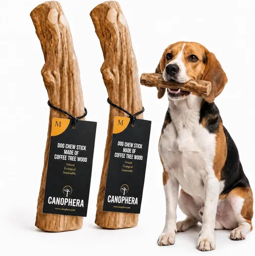 Vista 11 de Canophera Palillo masticable para perros hecho de madera de árbol de café, pequeño, paquete de 2