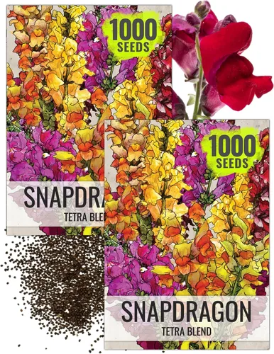 Vista 10 de Seed Needs Fairy Bouquet Baby Snapdragon Seeds to Plant Flowers 1 Pack