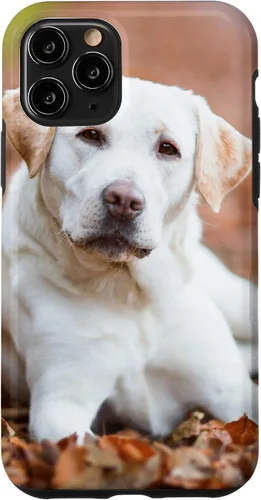 Vista 29 de Labrador Retriever Dog Lover - Carcasa para iPhone 17