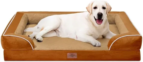 Vista 193 de Comfort Expression - Cama ortopédica para perros medianos, 28 x 19 pulgadas, cama impermeable y de apoyo de espuma con cojines removibles, sofá
