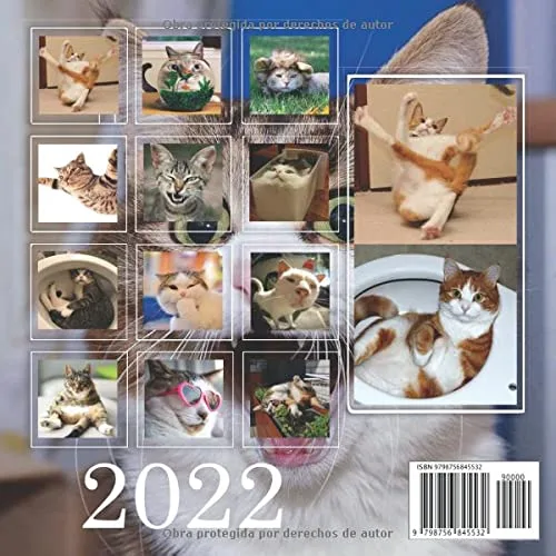 Vista 2 de Gatos Graciosos Calendario 2022 Calendario 12 meses 2022 - 8.5 x 8.5 in cuando está cerrado y 8.5 x 17.0 in abierto.- Organización y Planificación