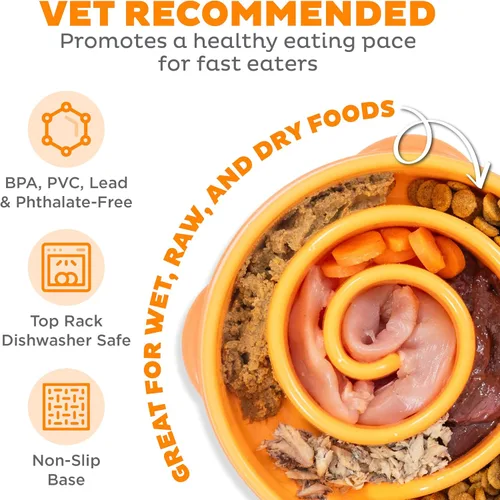 Vista 3 de Outward Hound Cuenco mediano de alimentación lenta, laberinto de rompecabezas para comedores rápidos, perros pequeños a medianos, ayuda a prevenir