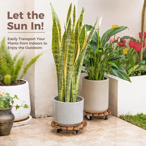 Vista 6 de Bamworld Soporte para Plantas al Aire Libre con Bandeja Rodante Organizador para Plantas con Ruedas 12 Pulgadas Carro de Plantas con Ruedas Carro