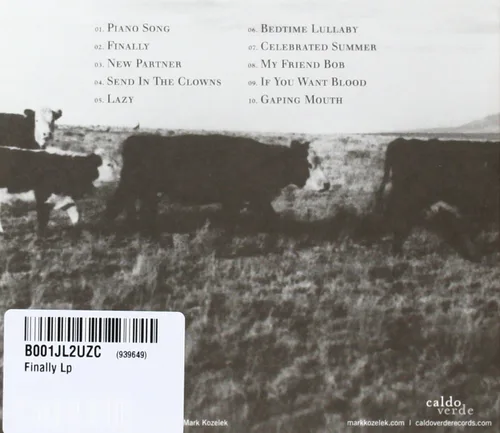 Vista 2 de The Finally LP