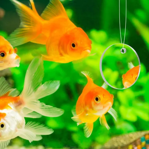 Vista 8 de balacoo 1 Unidades Acrílico Betta Entrenamiento Espejo Doble Cara Espejo Plástico Flotador Peces Tanque Transparente