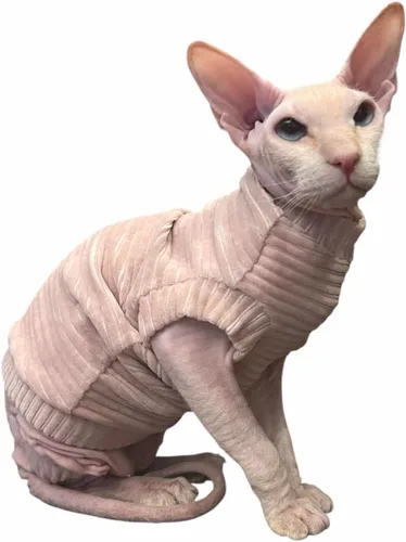 Vista 5 de Camiseta de pana de gato para Sphynx y gatos desnudos, mono de gato, traje de gato, ropa de gato, abrigo de gato, gatito bebé Grow (XS, azul)