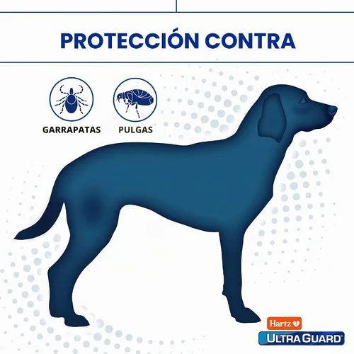 Vista 3 de Hartz UltraGuard Aerosol para Perros contra Pulgas y Garrapatas, Mata y Repele Pulgas y Garrapatas, 16 Onzas Spray para perros