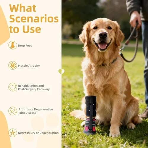 Vista 6 de Soporte de pie con correa (sin soporte para botas para nudillos) para perros: rodilleras para perros, zapatos correctivos para levantar los dedos