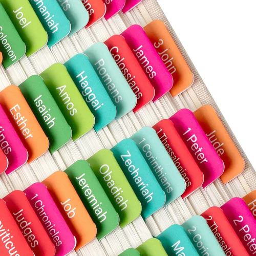 Vista 19 de Mr. Pen - Pestañas de la Biblia, 75 pestañas, tierra otoñal, letras doradas en relieve Laminated Bible Tabs for Women and Men, Bible Tabs for