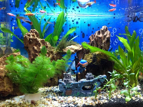 Vista 5 de AWXZOM Decoración de naufragio para acuario + Pequeño buzo decoración flotante para pecera, adornos para peceras
