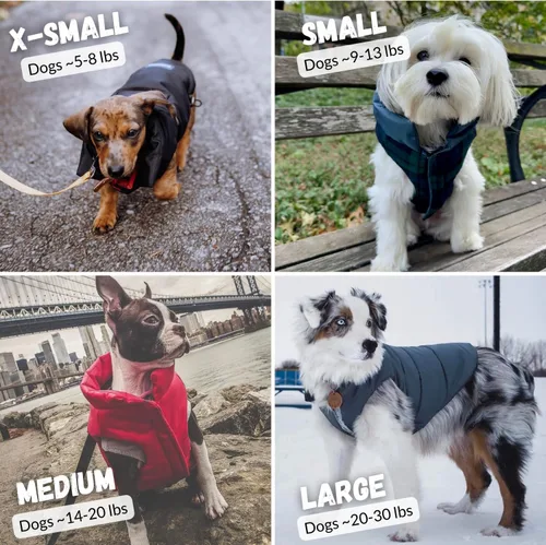 Vista 8 de DJANGO Abrigo de invierno reversible para perros con acolchado – Chaqueta de invierno cálida para perros y abrigo aislante repelente al agua