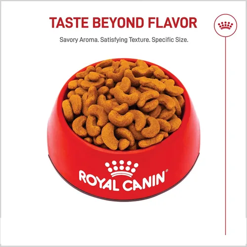 Vista 8 de Alimento seco Royal Canin Breed Health Nutrition para perros French Bulldog adultos, bolsa de 6 lb