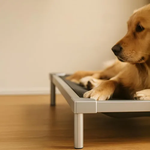 Vista 11 de Camas elevadas para perros a prueba de mordidas, tamaño mediano y grande, suministros de aleación de aluminio para perros, cuna elevada para enfriar
