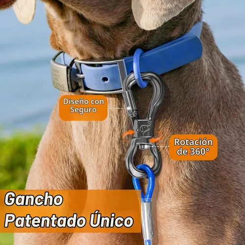 Vista 3 de XiaZ Cable de amarre para perro, correas de perro para patio de 8/10/15/20/30/50 pies, cadena de amarre resistente para perros pequeños, medianos