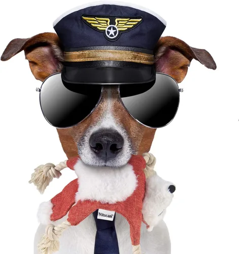 Vista 7 de Juguete de Zorro para Perro con Chirriador, Juguete para Perros Sin Relleno, Juguete de Caza Crujiente para Perros, Juguete de Felpa Duradero